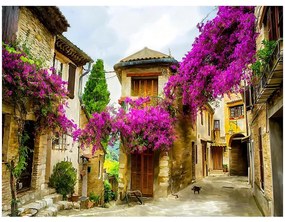 Obraz Old Town ST335 60X80