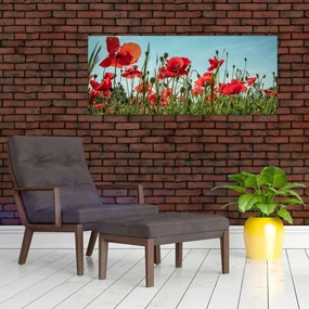 Obraz - Na poli vlčích makov (120x50 cm)