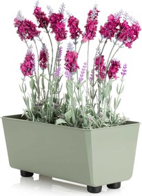 Truhlík s nožičkami Salvia 28,5x17 cm - výber z 8 prevedení