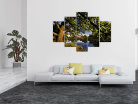 Obrázok stromu - moderné obrazy