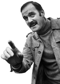 Plagát, Obraz - John Cleese - Pointing, (59.4 x 84 cm)