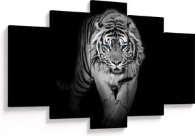 Obraz - Tiger s modrými očami (150x105 cm)