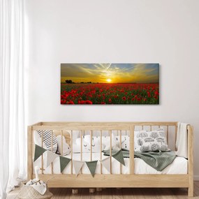braz poľa vlčích makov (120x50 cm)