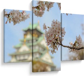 Obraz - Sakura (90x60 cm)
