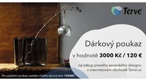 Vianočný darčekový poukaz na 120 €