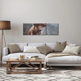 Obraz - Highlander krava (s hodinami) (90x30 cm)