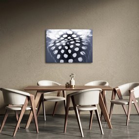 Obraz - Pierko (70x50 cm)