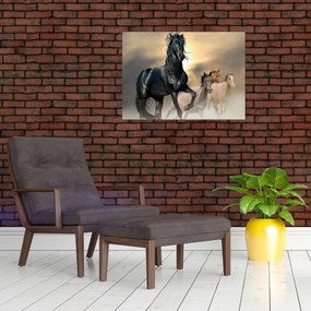 Sklenený obraz - Kone (70x50 cm)