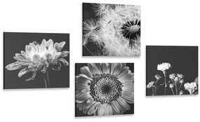 Set obrazov čiernobiele nežné kvety
