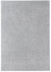 Koberce Breno Kusový koberec DOLCE VITA 01/SSS, sivá,200 x 290 cm