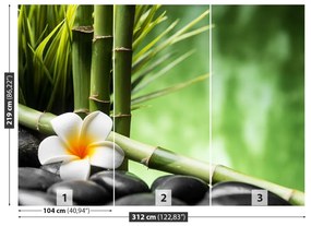 Fototapeta Vliesová Kríky bamboo 208x146 cm