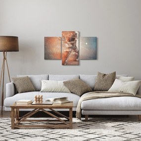 Obraz - Tenista (90x60 cm)