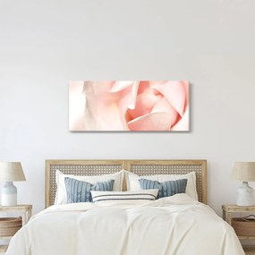 Obraz - Ruže (120x50 cm)