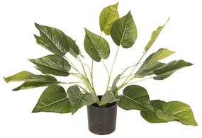 Dekoračné izbová rastlina - 46 cm