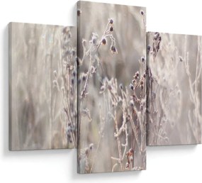 Obraz - Rastlina (90x60 cm)