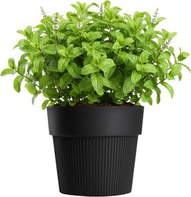 Květináč SILVA LINE 17,4x20 cm černý