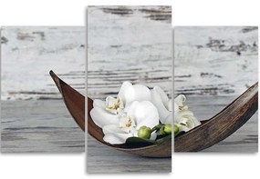 Gario Obraz na plátne Biele kvety orchidey - 3 dielny Rozmery: 60 x 40 cm