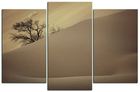 Obraz na plátne - Červené piesočné duny 1133FC (90x60 cm)