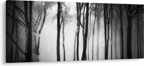 Obraz - Vlk v temnom lese (120x50 cm)