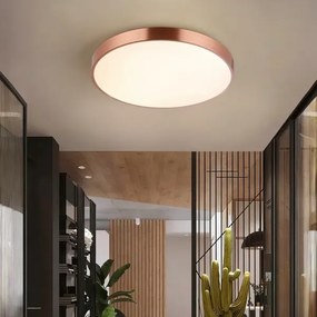 Immax NEO 07322L-LED Stmievateľné stropné svietidlo NEO LITE SEMPLICI 60W/230V priemer 60 cm medené + DO