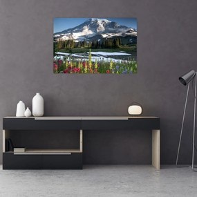 Obraz - Mount Rainier (90x60 cm)