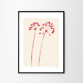 Moikka Plagát Flowers 02 by Ana Frois 50x70