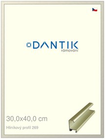 DANTIK rám na obraz 30x40 | ALU zlatá matná (Plexi Čiré)