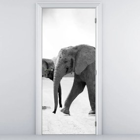 Fototapeta na dvere - Slony (95x205cm)