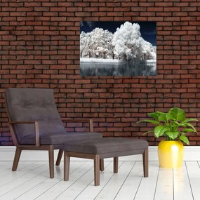 Sklenený obraz - Snehobiele stromy (70x50 cm)