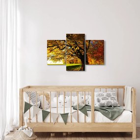 Obraz jesene (90x60 cm)