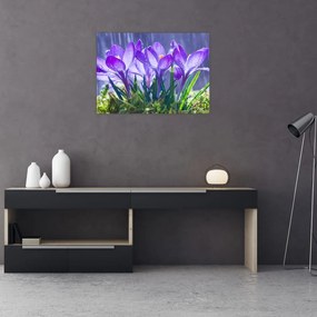 Sklenený obraz kvetov v daždi (70x50 cm)