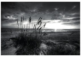 Samolepiaca fototapeta západ slnka na pláži v čiernobielom