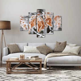 Obraz - Zamrznuté listy (150x105 cm)