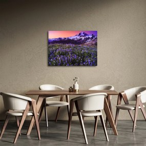 Obraz - Sopka a kvety (70x50 cm)