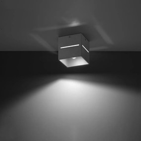 Sollux Lighting Stropné svietidlo LOBO sivé