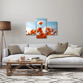 Obraz - Lúčne kvety (90x60 cm)