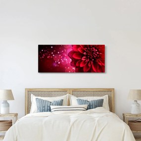 Obraz červené kvety (120x50 cm)