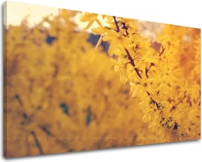 Obraz na stenu KVETY KV050E11 - 40x60 cm