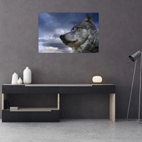 Obraz - Vlčia hlava (90x60 cm)