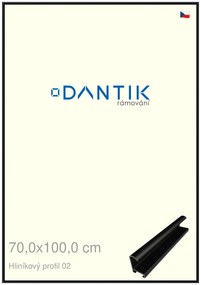DANTIK rám na obraz 70x100 | ALU Černá matná (Plexi Čiré)