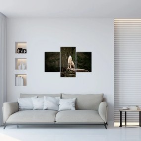 Obraz - Vytie vlka (90x60 cm)