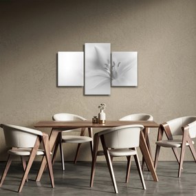 Obraz - Jemná ľalia (90x60 cm)