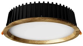 APLED - LED Podhľadové RONDO WOODLINE LED/18W/230V 4000K pr. 26 cm jaseň masív