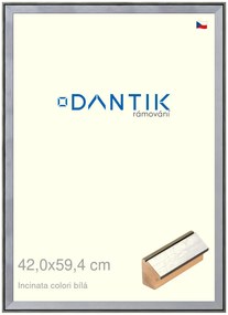 DANTIK rám na obraz 42x59,4 | INCLINATA colori Bílá (Plexi Čiré)