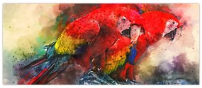 Obraz červených papagájov ara (120x50 cm)