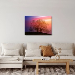 Sklenený obraz stromov v hmle (70x50 cm)