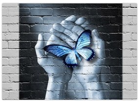 Sklenený obraz - Motýľ na stene (70x50 cm)