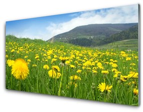 Obraz na skle Púpava príroda 100x50 cm
