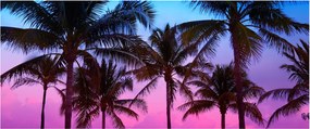 Obraz - Palmy v Miami (120x50 cm)