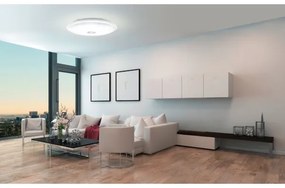 LED Stropné svietidlo IGROKA LED/18,8W/230V